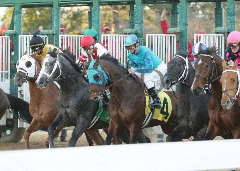 Old Fashioned -The Southwest Stakes - Start Tight Oaklawn Park