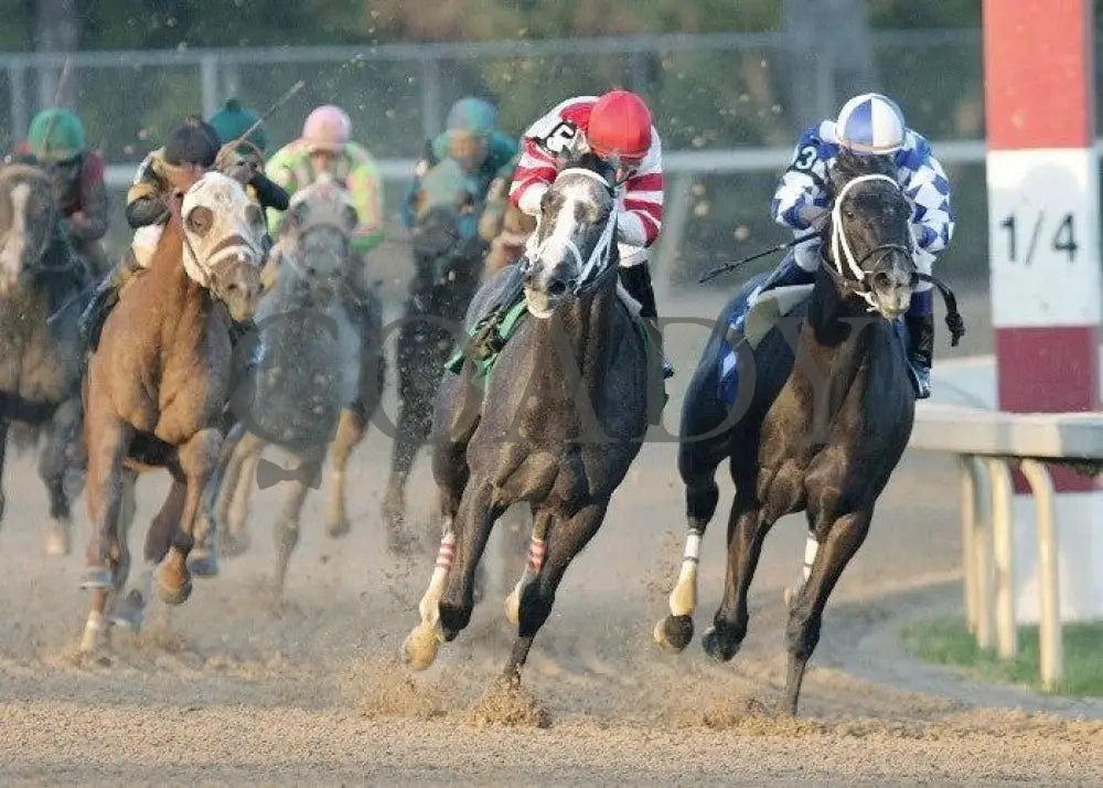 Old Fashioned - The Southwest Stakes Turn Oaklawn Park