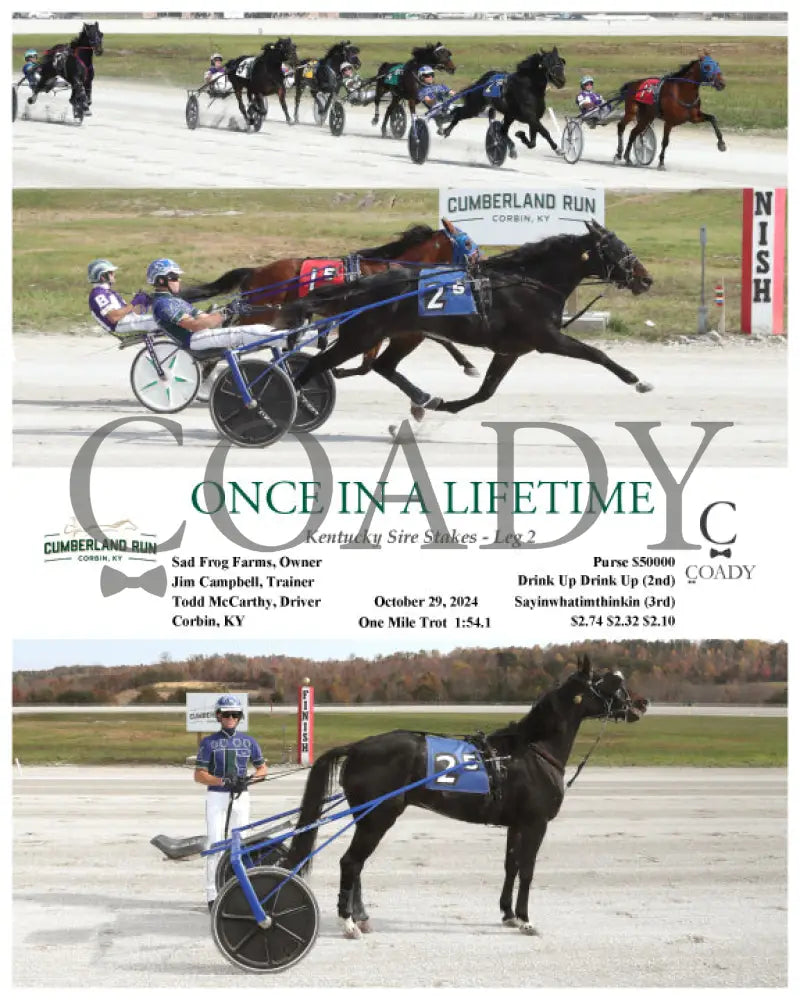 Once In A Lifetime - Kentucky Sire Stakes Leg 2 10-29-24 R05 Clr Cumberland Run