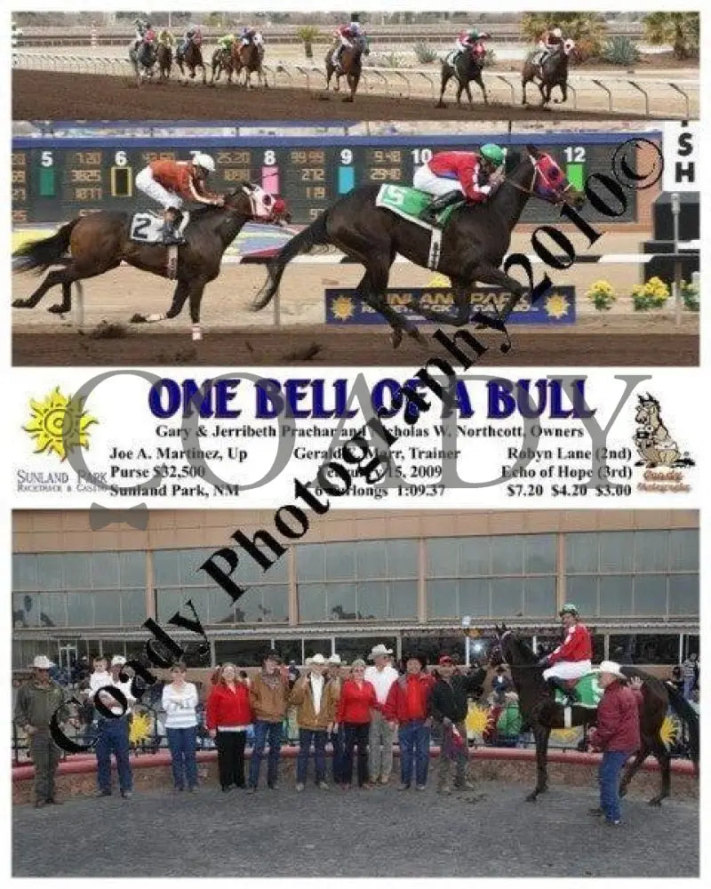 One Bell Of A Bull - 2 15 2009 Sunland Park