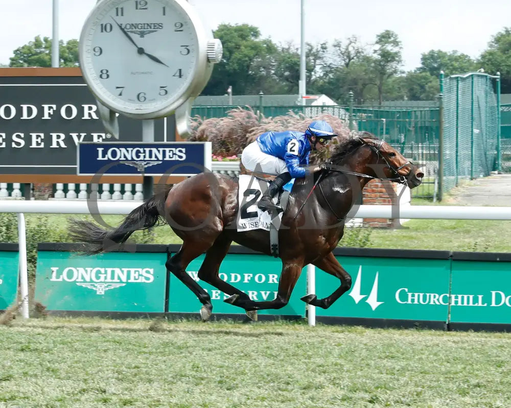 Ottoman Fleet - The Wise Dan G2 06-29-24 R07 Cd Finish 01 Churchill Downs