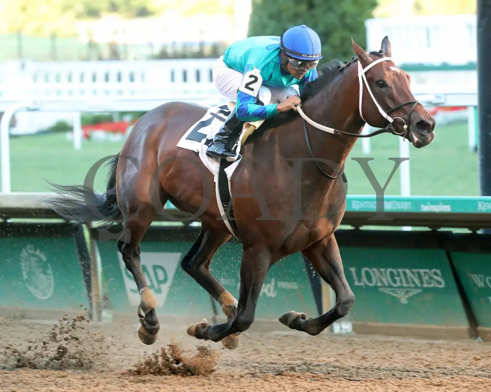 Our Pretty Woman - The Monomoy Girl Overnight Stakes 3Rd Running 06-15-24 R05 Cd Finish 02