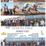 Over Da Edge - Sunburst Stakes 03 - 03 - 24 R09 Sun Sunland Park