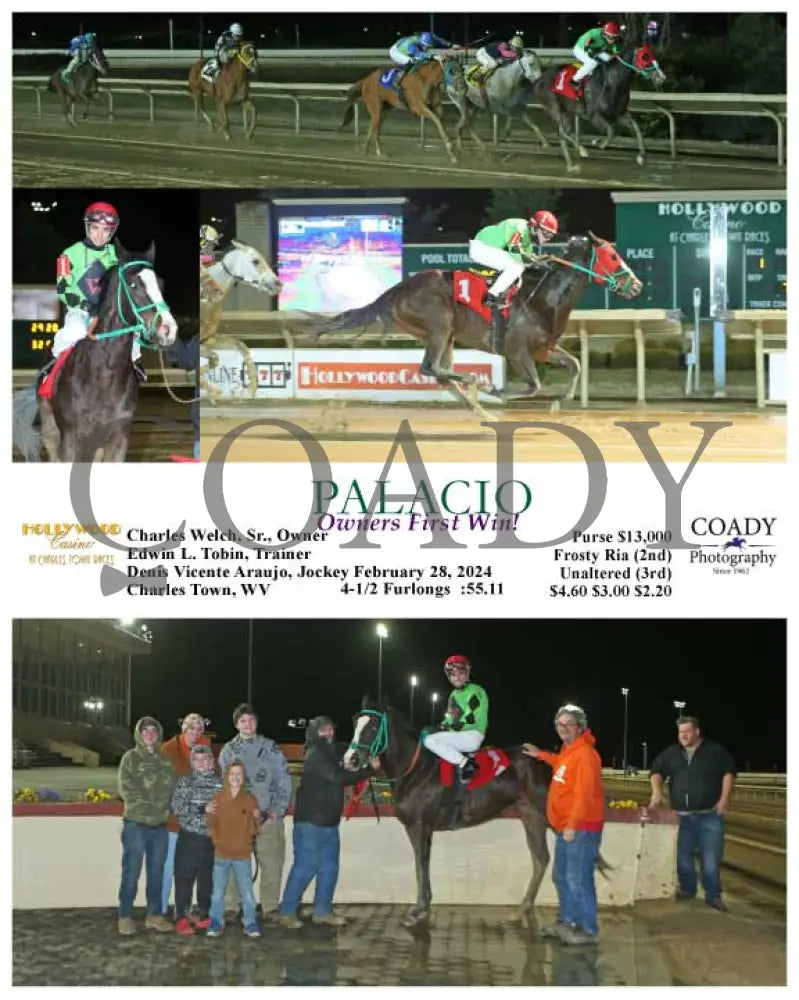 Palacio - Owners First Win! 02-28-24 R01 Ct Hollywood Casino At Charles Town Races