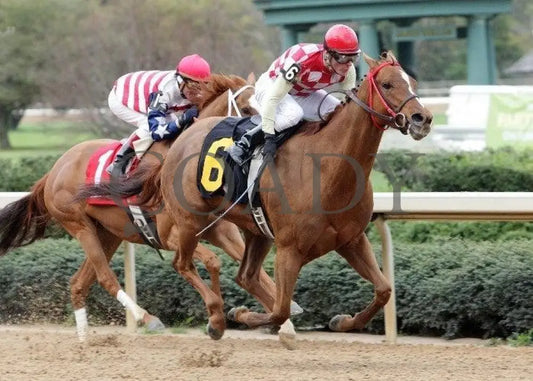 Palanka City - The Carousel Stakes 30Th Running Oaklawn Park