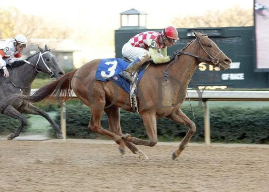 Palanka City - The Spring Fever Stakes Oaklawn Park