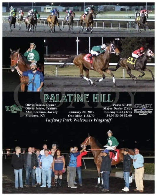 Palatine Hill - 012017 Race 04 Tp Turfway Park