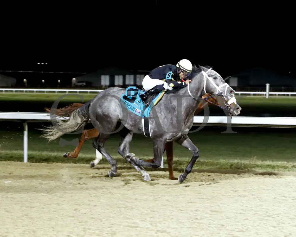 Paros - 121424 Race 06 Tp The Prairie Bayou Finish 01 Turfway Park