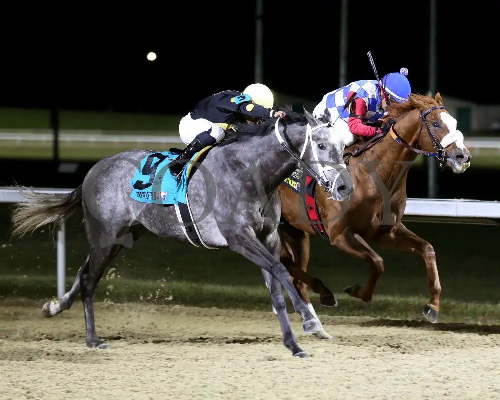 Paros - 121424 Race 06 Tp The Prairie Bayou Finish 02 Turfway Park