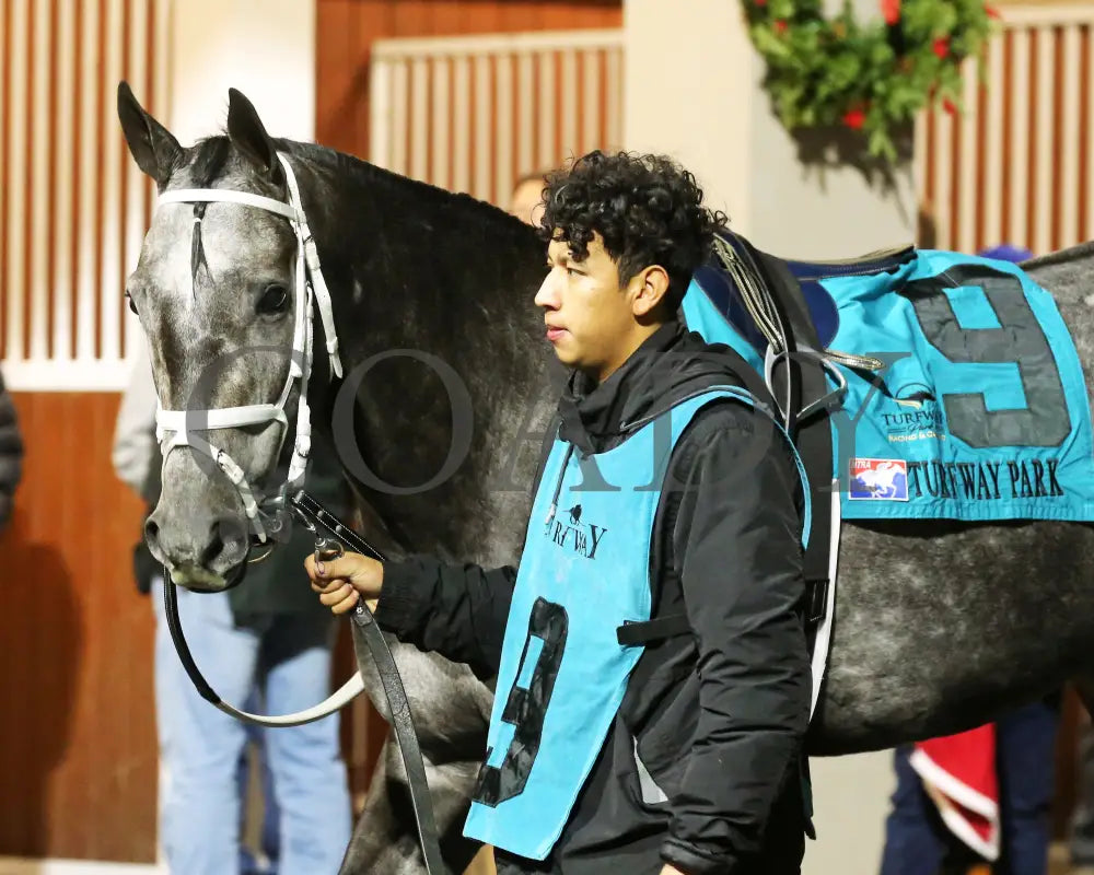 Paros - 121424 Race 06 Tp The Prairie Bayou Paddock 01 Turfway Park