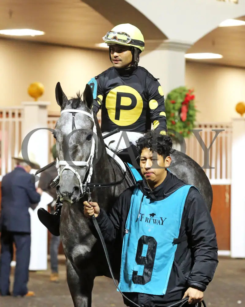 Paros - 121424 Race 06 Tp The Prairie Bayou Paddock 02 Turfway Park