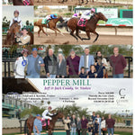 Pepper Mill - Jeff & Jack Coady Sr. Stakes 02-01-24 R09 Tup Turf Paradise