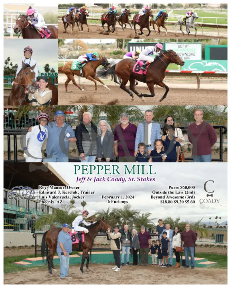 Pepper Mill - Jeff & Jack Coady Sr. Stakes 02-01-24 R09 Tup Turf Paradise