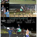 Perfect Moon - 11-19-24 R05 Mnr Mountaineer Park