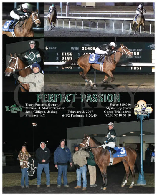 Perfect Passion - 020317 Race 06 Tp Turfway Park