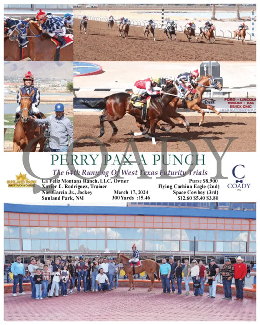 Perry Pax A Punch - The 64Th Running Of West Texas Futurity Trials 03 - 17 - 24 R08 Sun Sunland Park