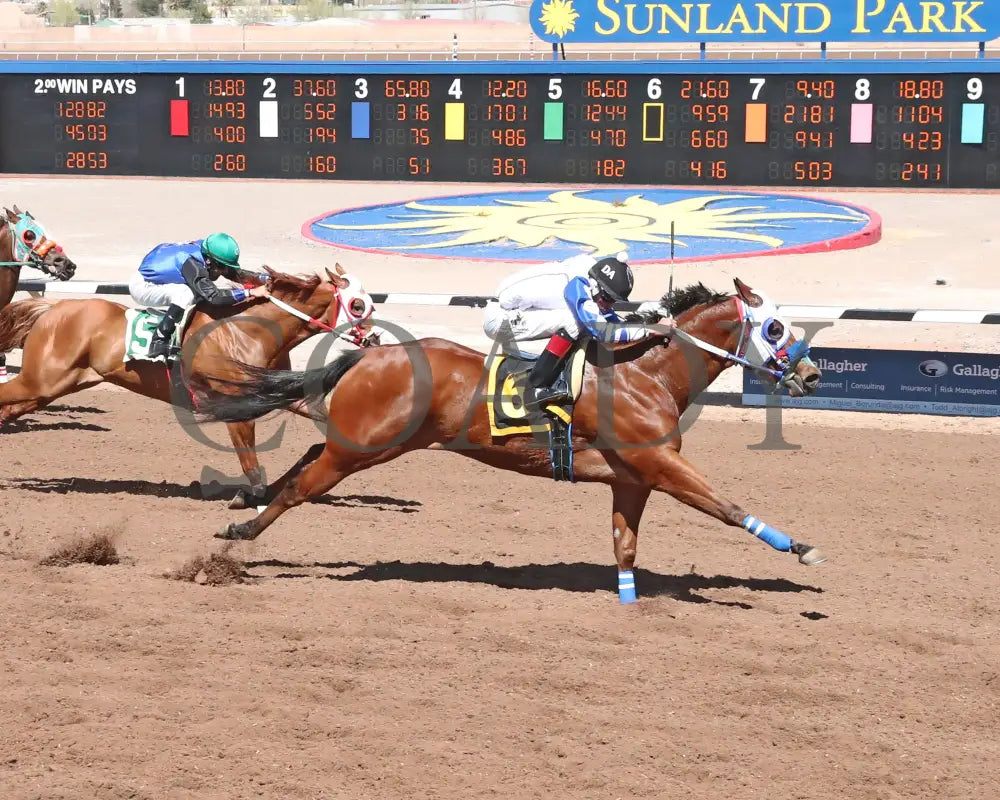 Pevs Charley - The 35Th Running Of West Texas Maturity Trials 03 - 10 - 24 R04 Sun Sunland Park