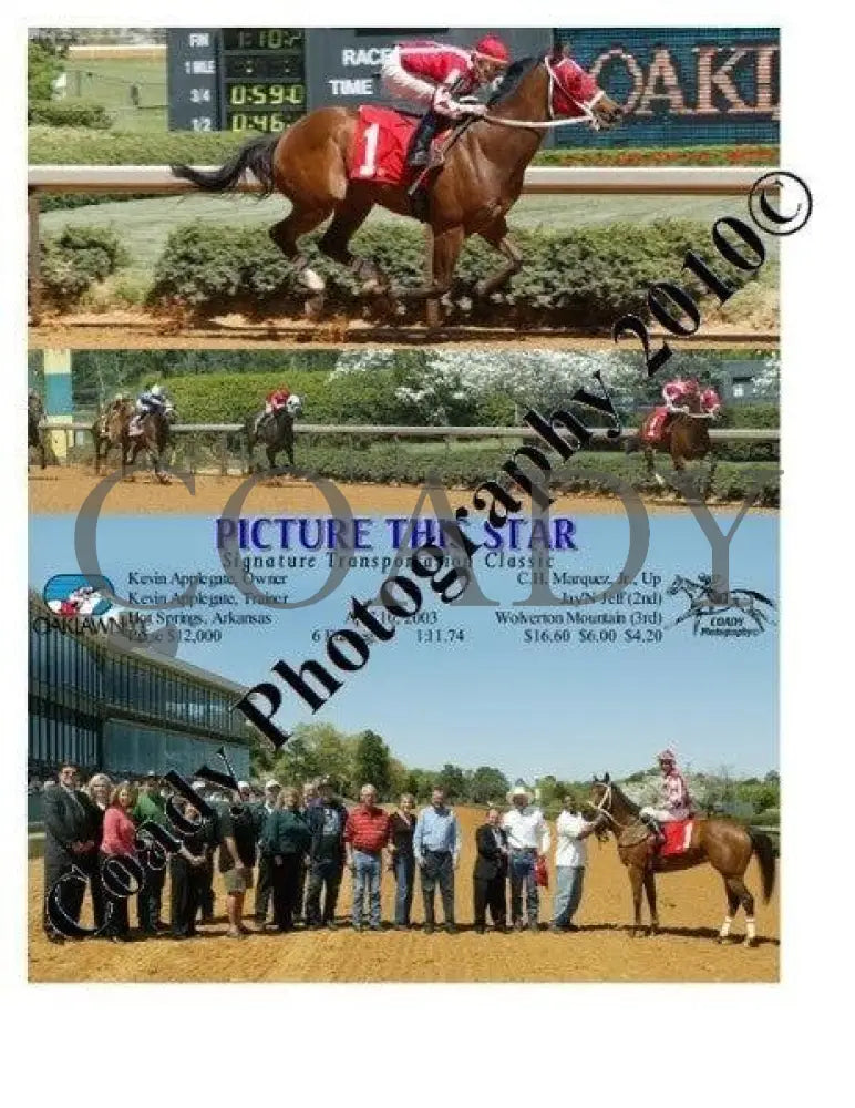 Picture This Star - Signature Transportation Class Oaklawn Park