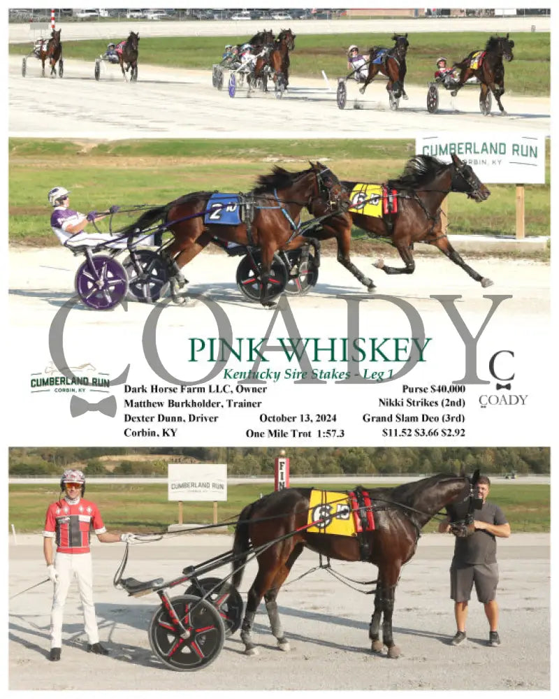 Pink Whiskey - Kentucky Sire Stakes Leg 1 10-13-24 R10 Clr Cumberland Run