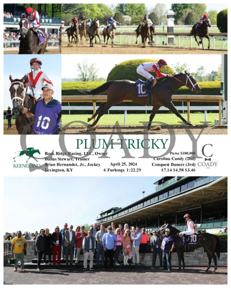 Plum Tricky - 04-25-24 R09 Kee Keeneland