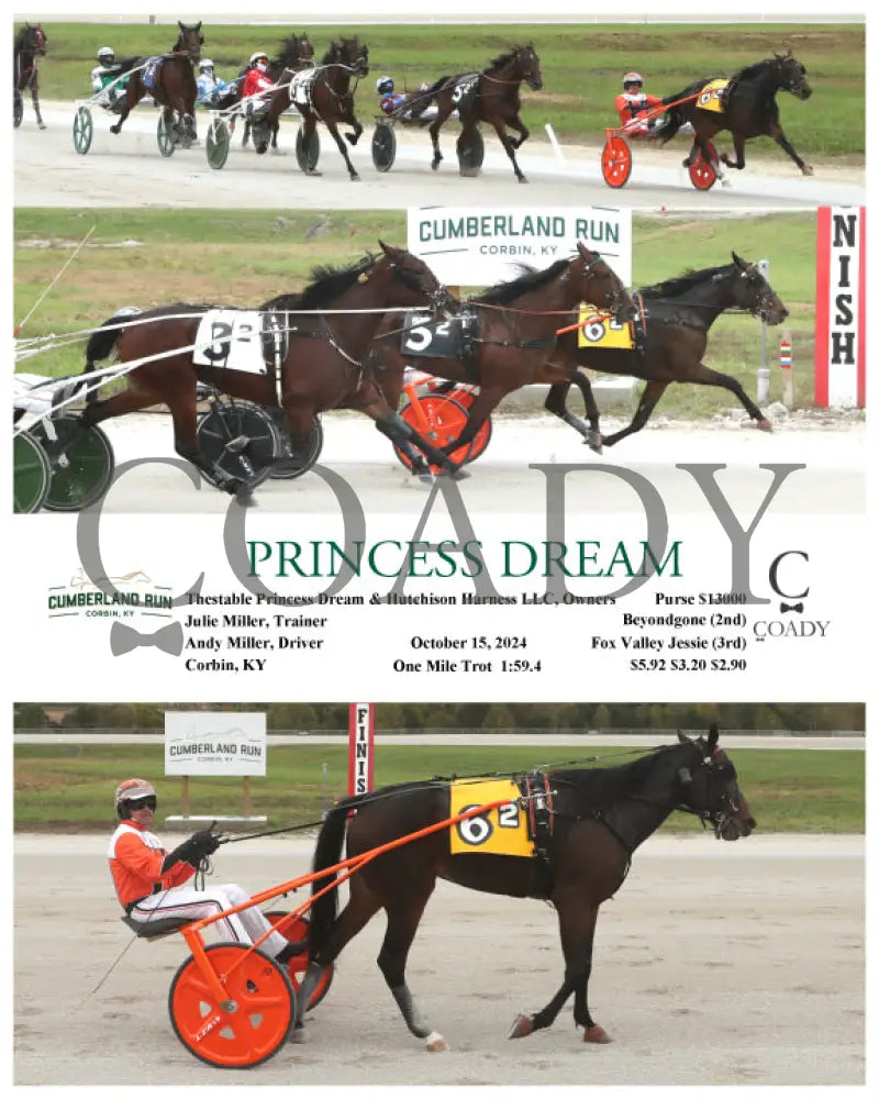 Princess Dream - 10-15-24 R02 Clr Cumberland Run