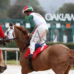 Promise Keeper - The Fifth Season Stakes 35Th Running 01-27-24 R09 Op Post Parade 02 Oaklawn Park