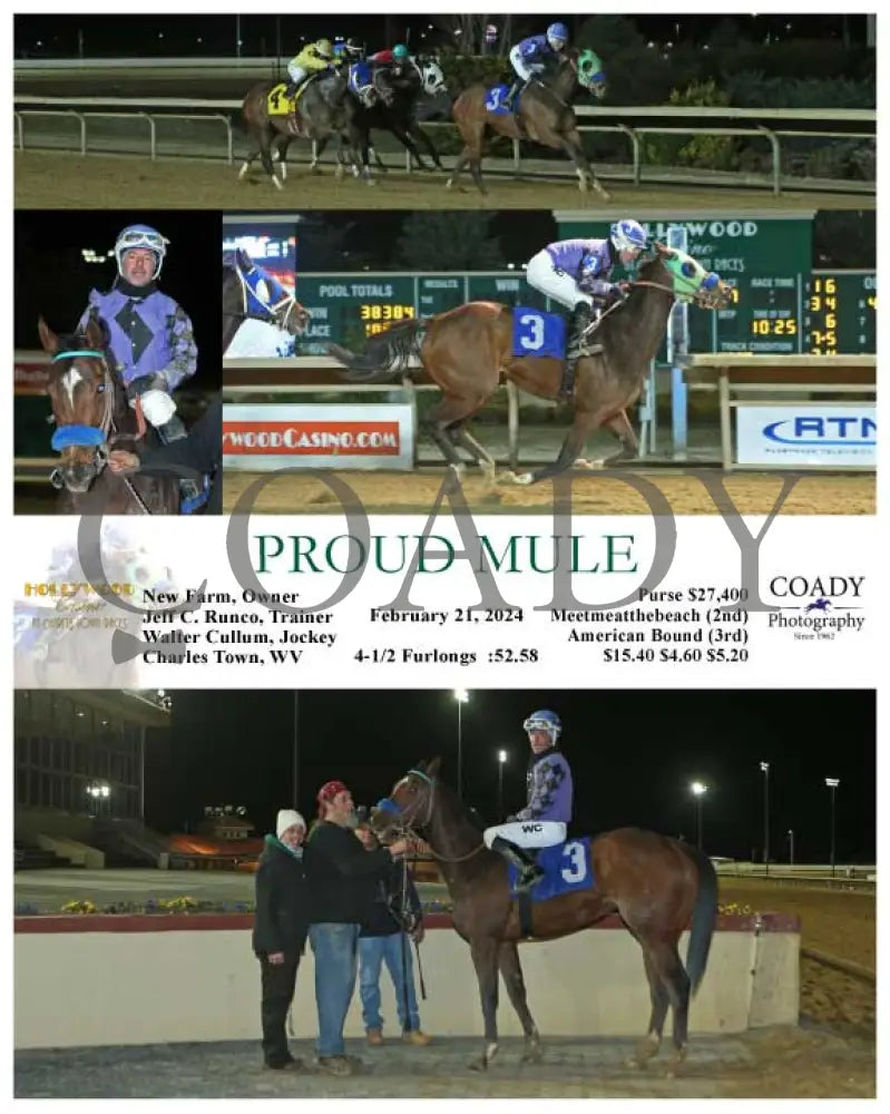 Proud Mule - 02-21-24 R07 Ct Hollywood Casino At Charles Town Races