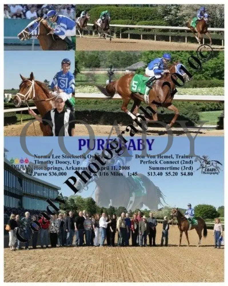 Pure Baby - 4 11 2008 Oaklawn Park