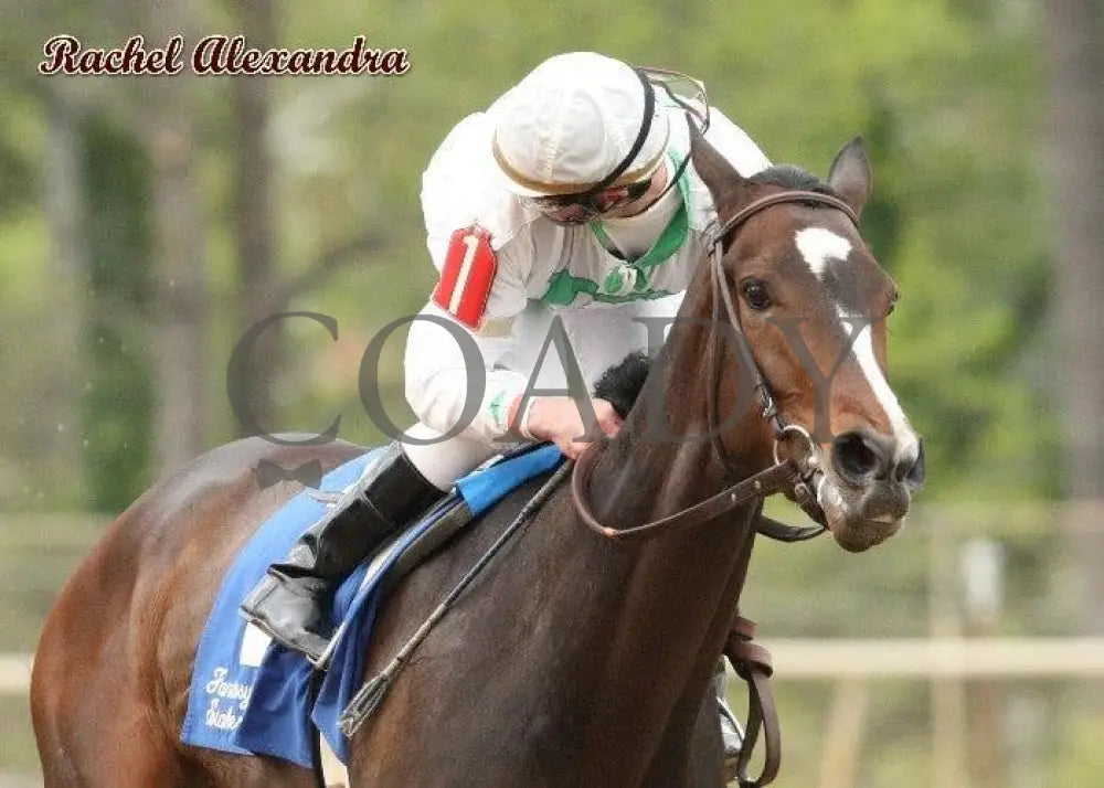 Rachel Alexandra - The Fantasy Stakes Champion Horses