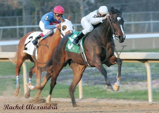 Rachel Alexandra - The Martha Washington Stakes Champion Horses