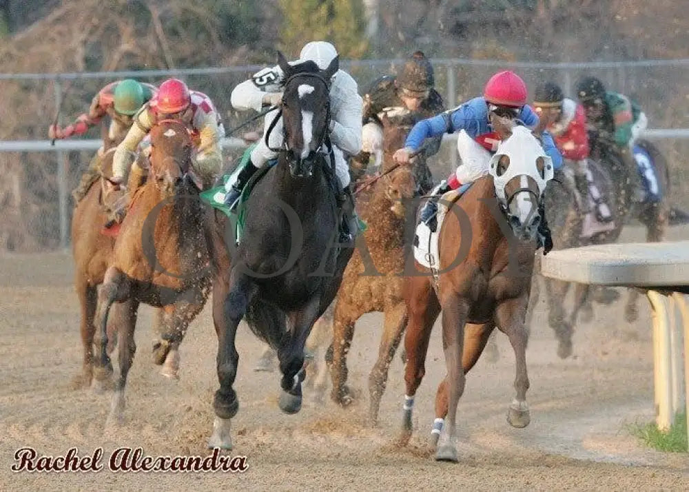 Rachel Alexandra - The Martha Washington Stakes Champion Horses