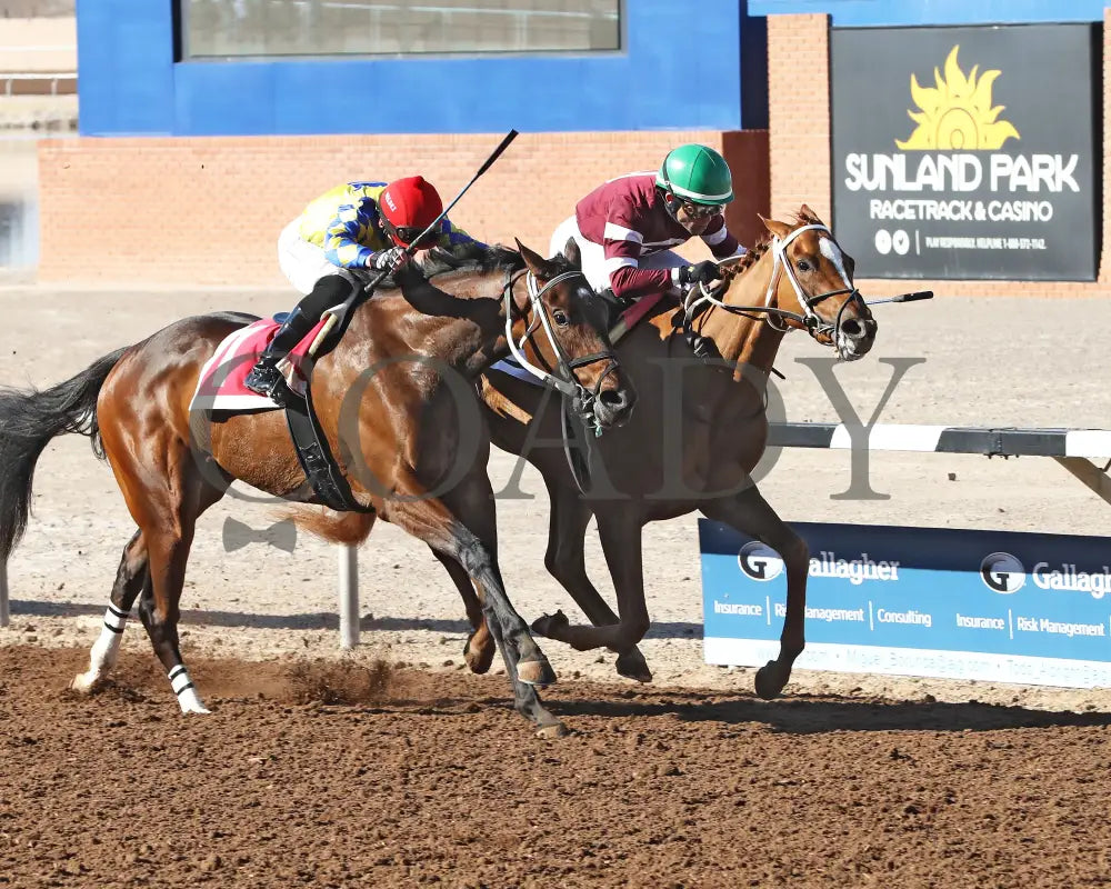 Recharge - The 21St Running Os Sunland Park Oaks 02-18-24 R07 Finish 2