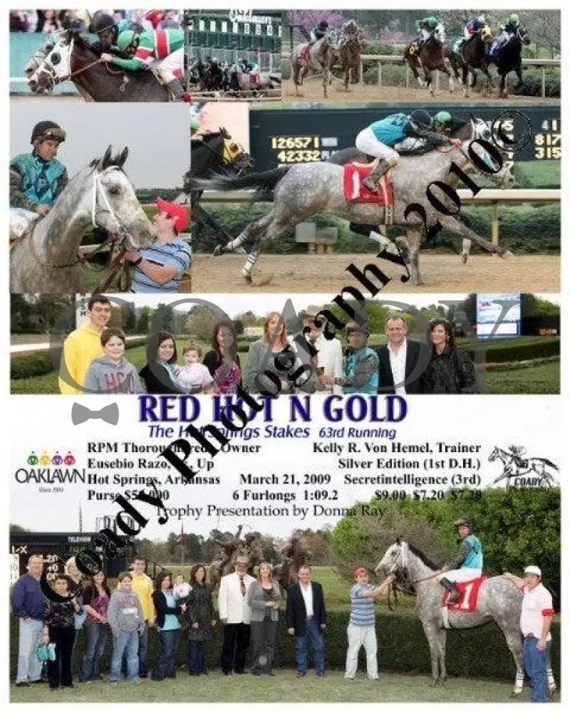 Red Hot N Gold - The Hot Springs Stakes 63Rd Ru Oaklawn Park