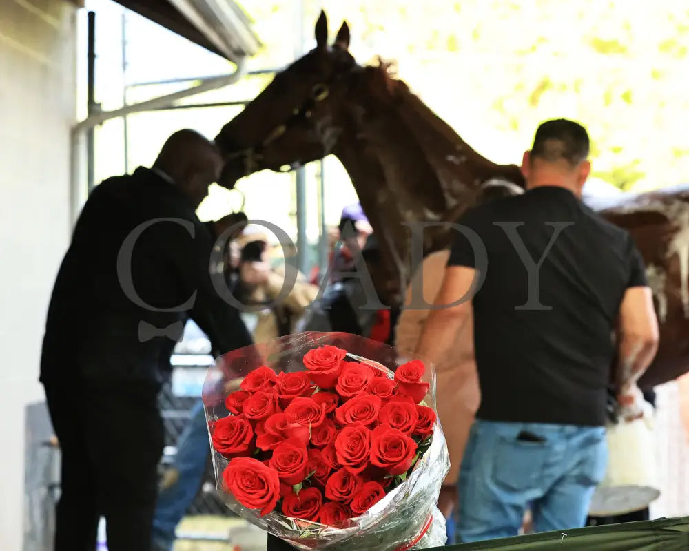 Rich Strike - The Kentucky Derby 148Th Running 05-07-22 R12 Cd Barn 01 Churchill Downs