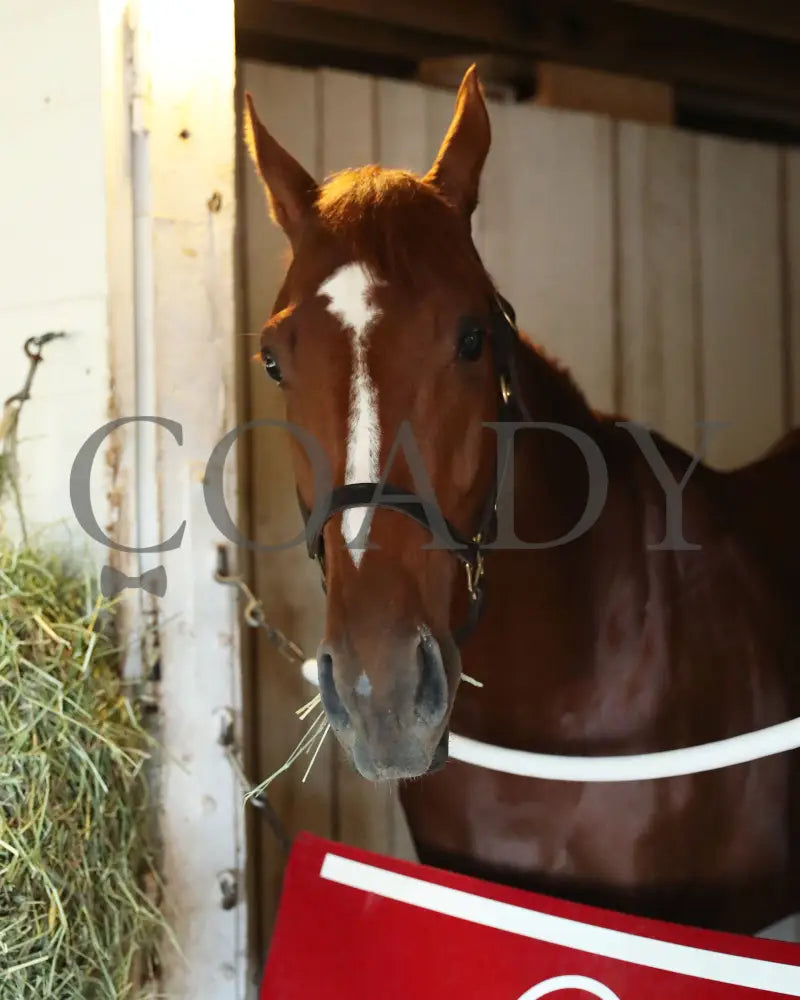 Rich Strike - The Kentucky Derby 148Th Running 05-07-22 R12 Cd Post Morning -004 Churchill Downs