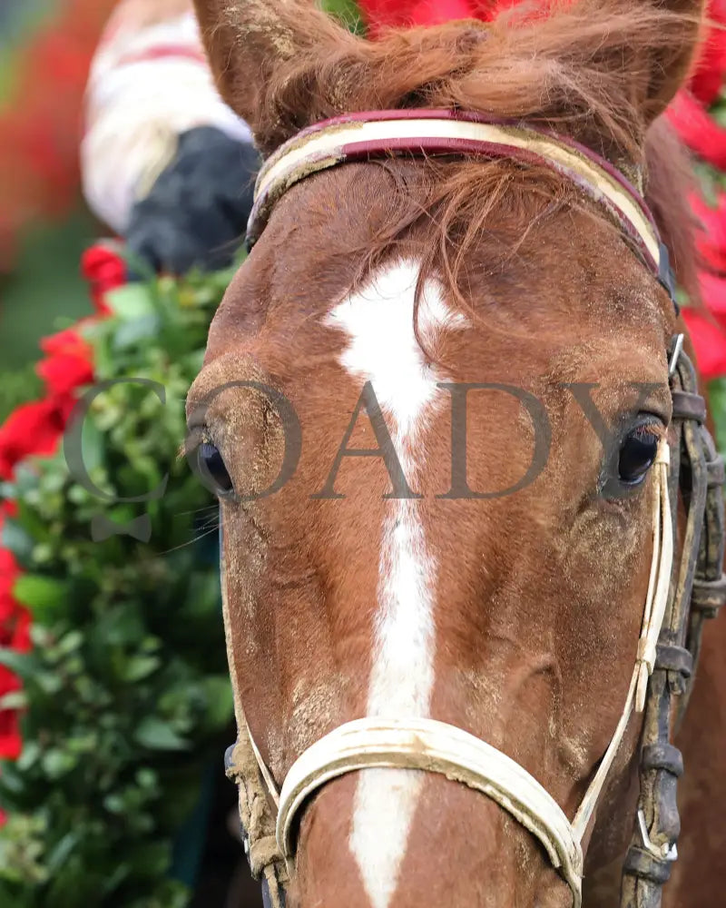 Rich Strike - The Kentucky Derby 148Th Running 05-07-22 R12 Cd Scenic 01 Churchill Downs