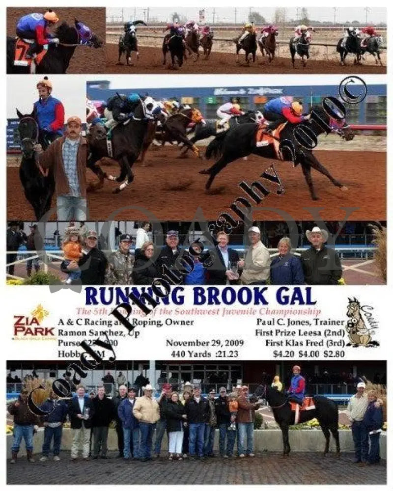 Running Brook Gal - The 5Th Running Of The South Zia Park