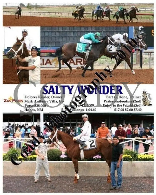 Salty Wonder - 9 12 2009 Zia Park