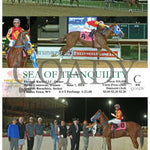 Sea Of Tranquility - 06-07-24 R08 Ct Hollywood Casino At Charles Town Races