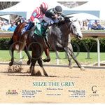 Seize The Grey - 02-24-24 R01 Oaklawn Park Action 2