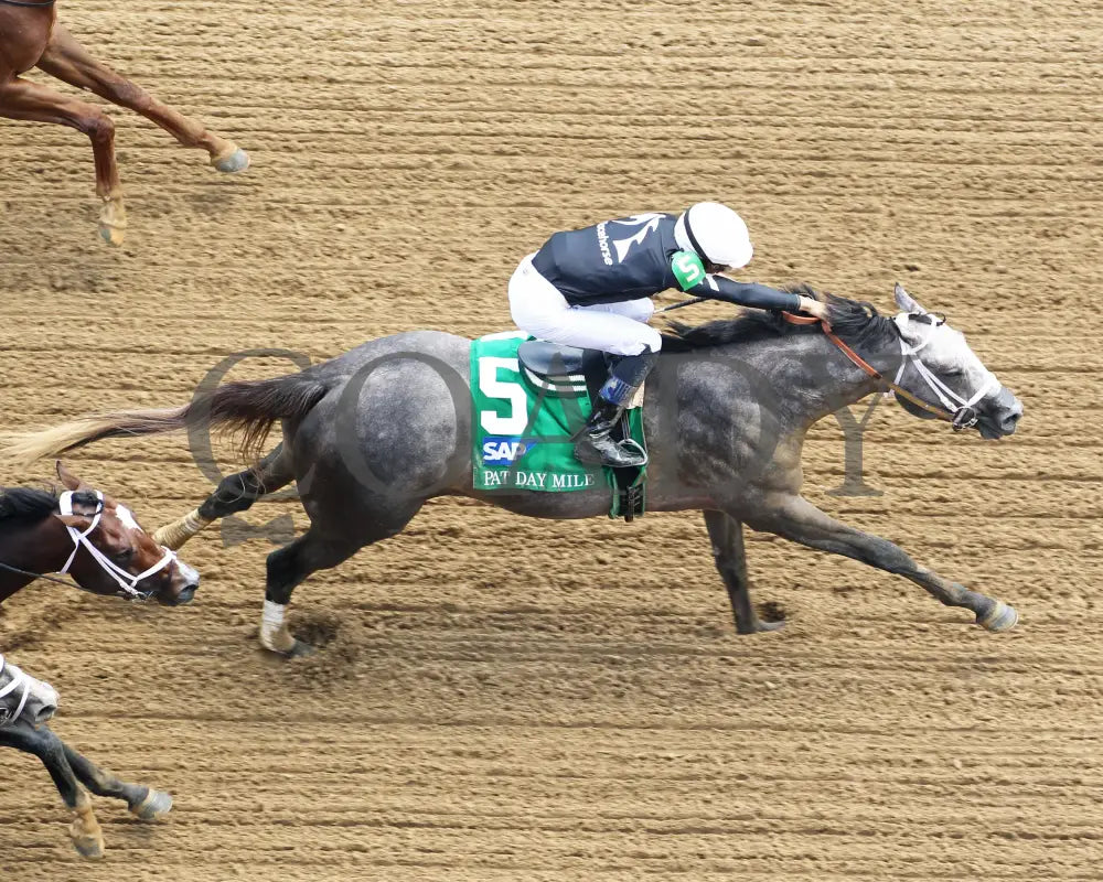 Seize The Grey - The Pat Day Mile G2 100Th Running 05-04-24 R08 Churchill Downs Aerial Finish 01