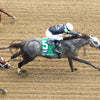 Seize The Grey - The Pat Day Mile G2 100Th Running 05-04-24 R08 Churchill Downs Aerial Finish 01