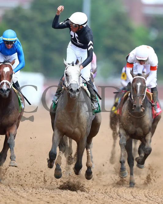 Seize The Grey - The Pat Day Mile G2 100Th Running 05-04-24 R08 Churchill Downs Backstretch Turn 01