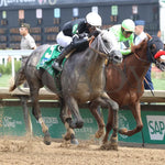 Seize The Grey - The Pat Day Mile G2 100Th Running 05-04-24 R08 Churchill Downs Finish 02