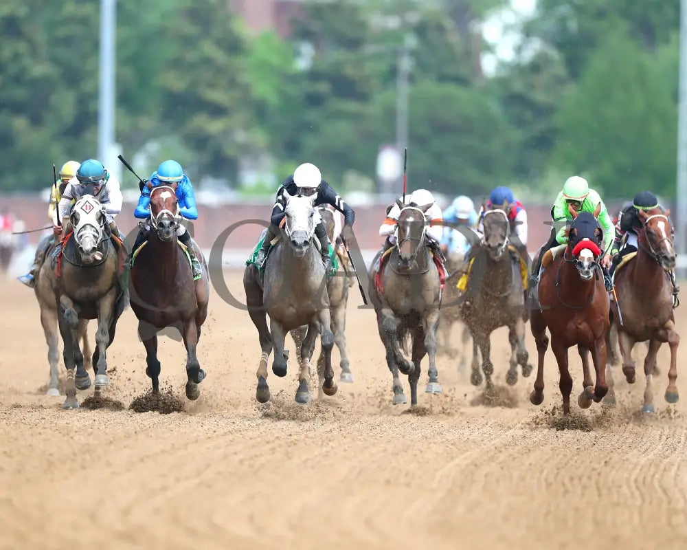 Seize The Grey - The Pat Day Mile G2 100Th Running 05-04-24 R08 Churchill Downs Head On 01