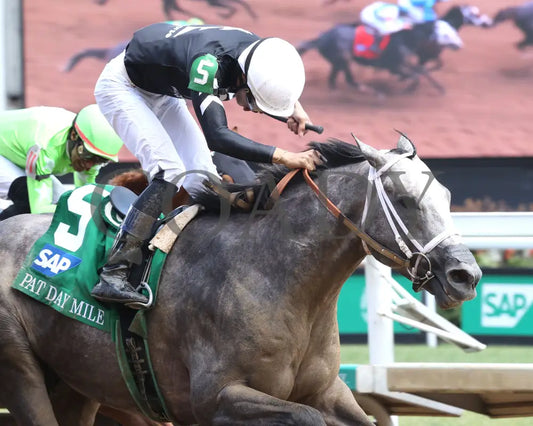 Seize The Grey - The Pat Day Mile G2 100Th Running 05-04-24 R08 Churchill Downs Tight Finish 01