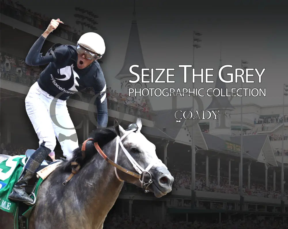 Seize The Grey - Photographic Collection Book