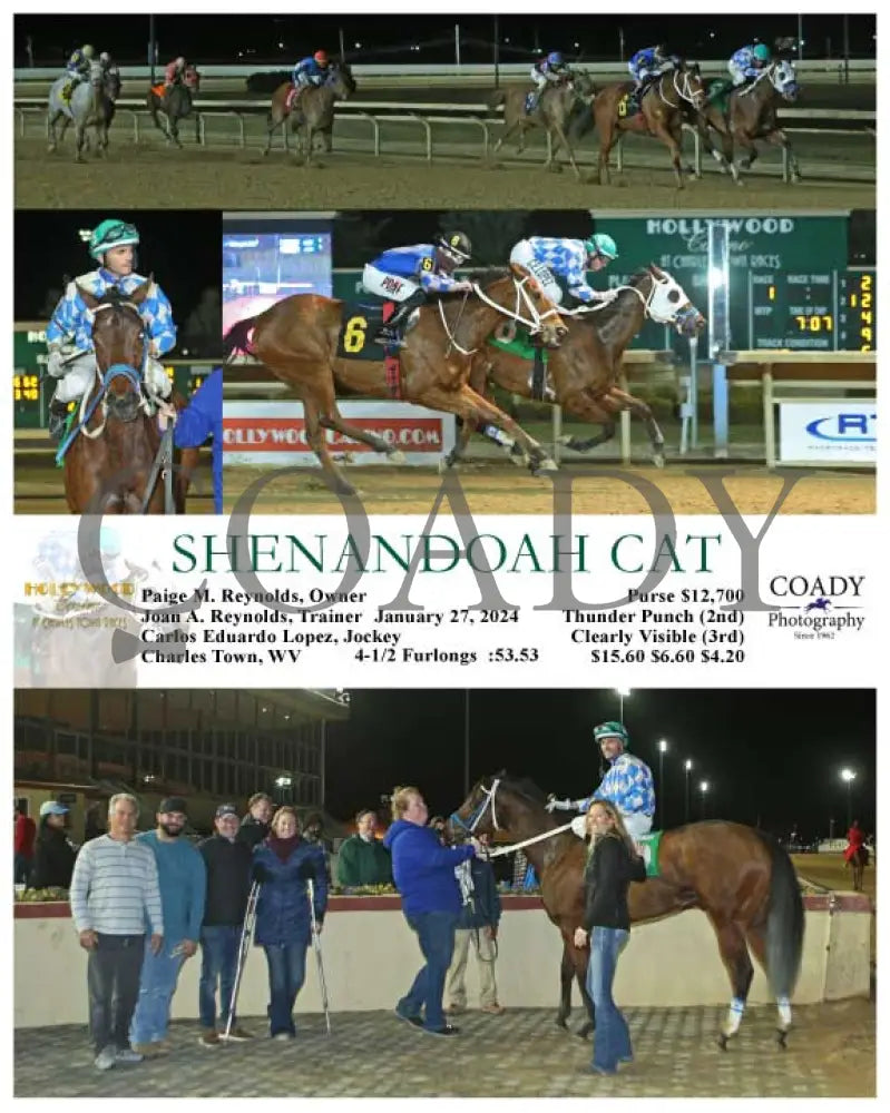 Shenandoah Cat - 01-27-24 R01 Ct Hollywood Casino At Charles Town Races