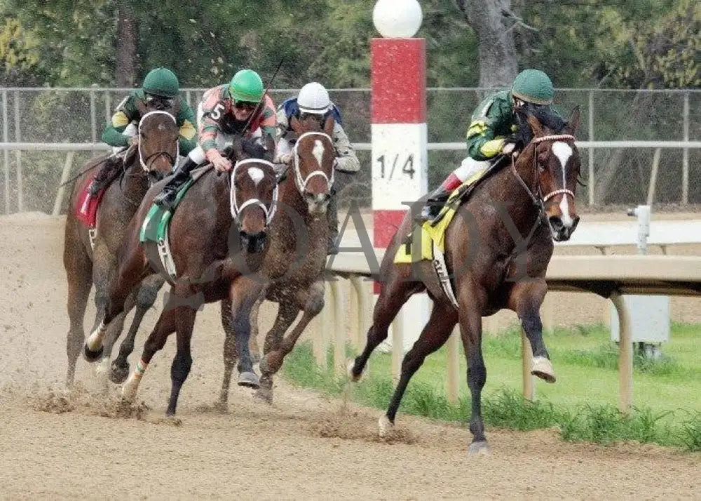 She’s Our Annie - The Prima Donna Stakes Turn Oaklawn Park