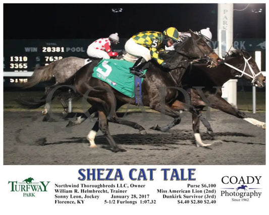 Sheza Cat Tale - 012817 Race 01 Tp Turfway Park